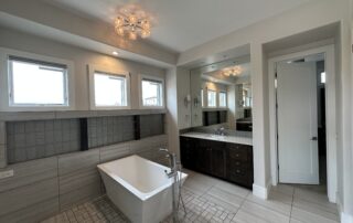 bathroom cabinet painted in black with bathtub - paint system